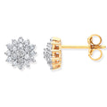 0.50ct Natural Round Brilliant Diamond Cluster Stud Earrings - 9K Yellow Gold